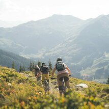 Gruppe von Mountainbikern bei der Abfahrt von der Alm