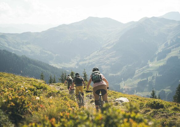 Gruppe von Mountainbikern bei der Abfahrt von der Alm