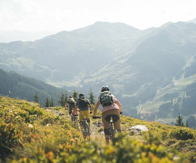 Gruppe von Mountainbikern bei der Abfahrt von der Alm