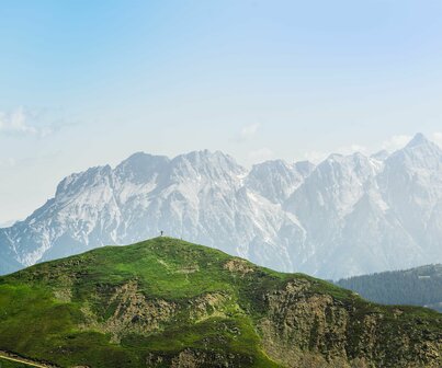 Bergpanorama im Sommer