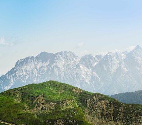 Bergpanorama im Sommer
