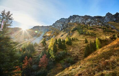 Bergpanorama Saalbach Hinterglemm