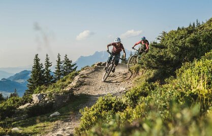 Zwei Downhiller im Gelände