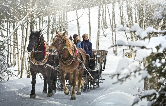 Pferdeschlittenfahrt durch verschneiten Wald