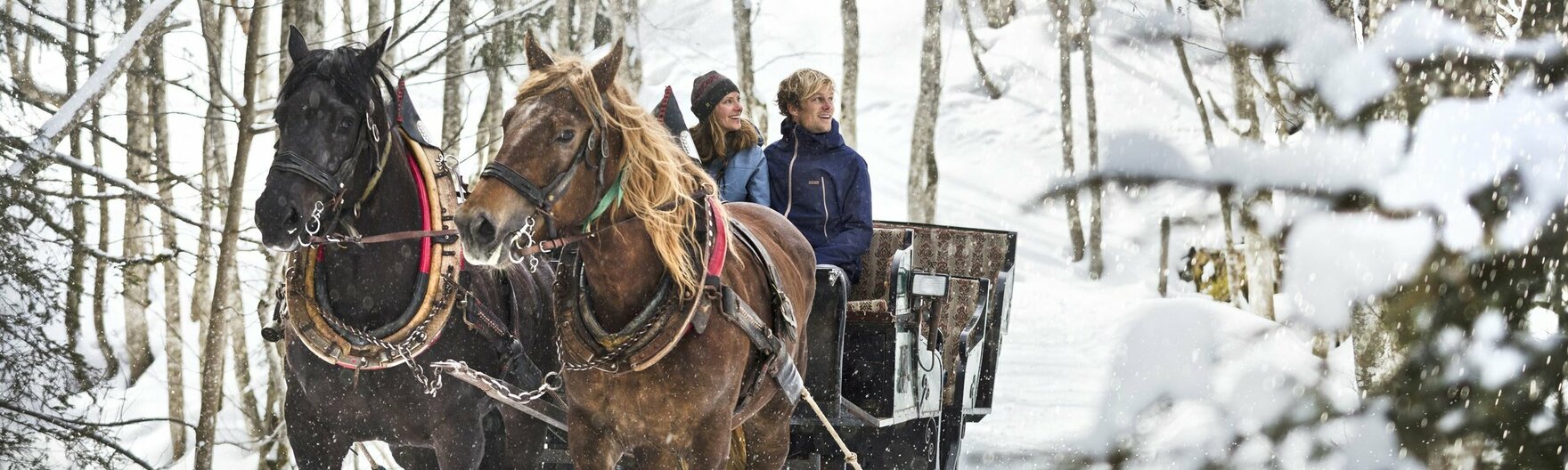 Pferdeschlittenfahrt durch verschneiten Wald