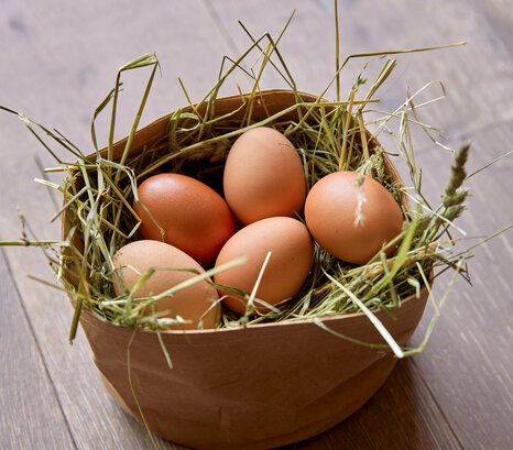 Frische Eier