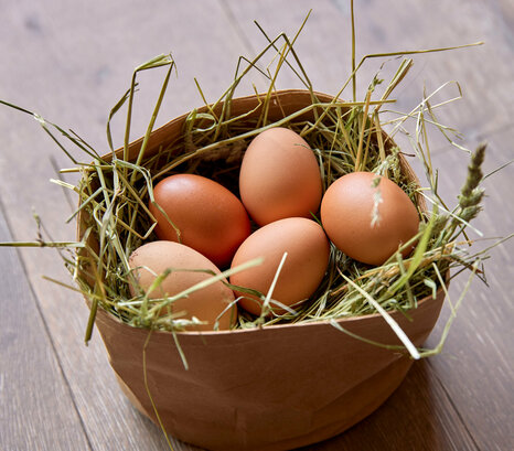 Frische Eier