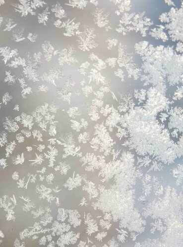 Weiße Eisblumen am Glas