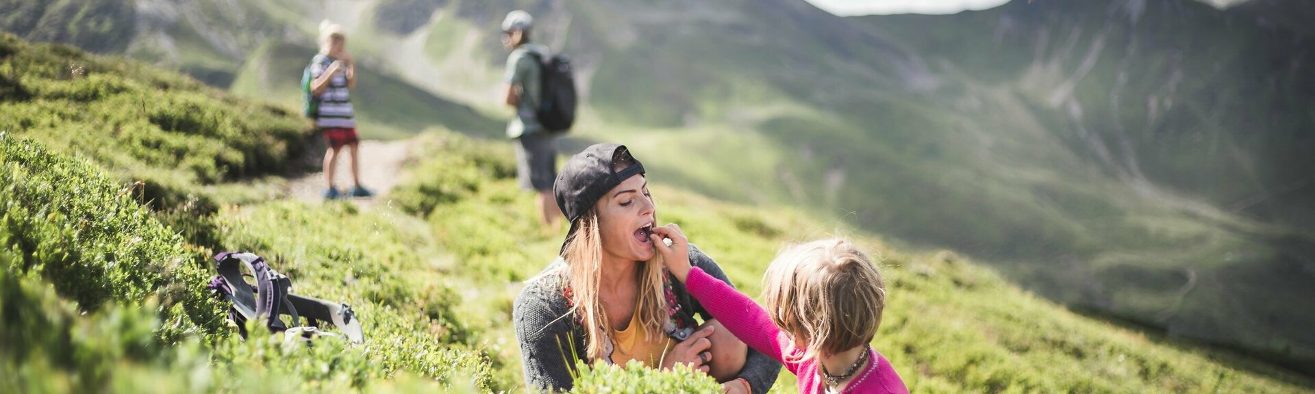 Familie sammelt Blaubeeren