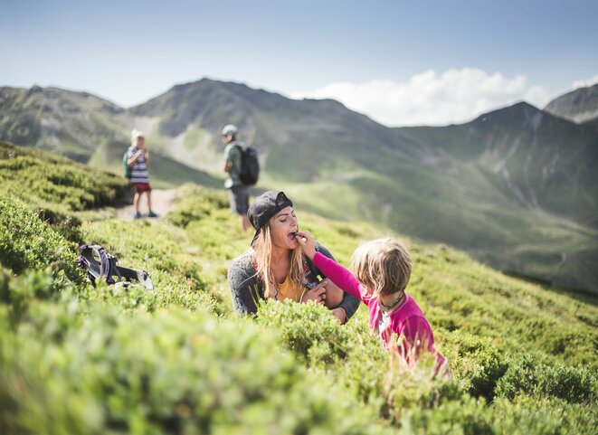 Familie sammelt Blaubeeren