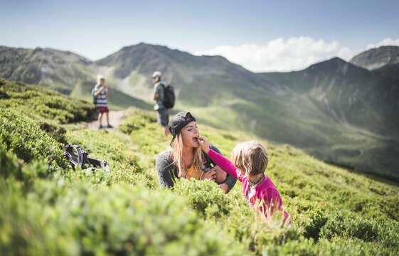 Familie sammelt Blaubeeren