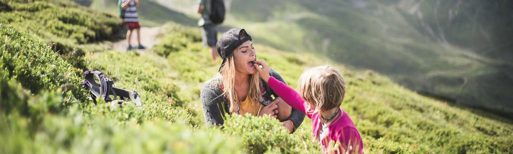 Familie sammelt Blaubeeren