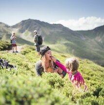 Familie sammelt Blaubeeren