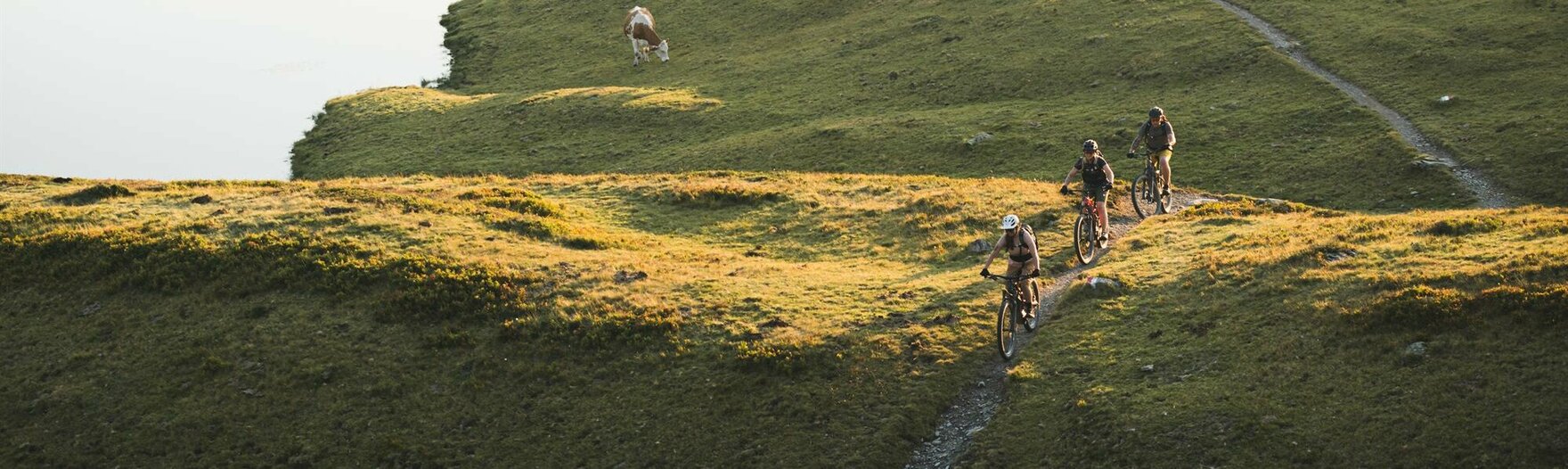 Mountainbikegruppe auf Almwiese mit Kühen